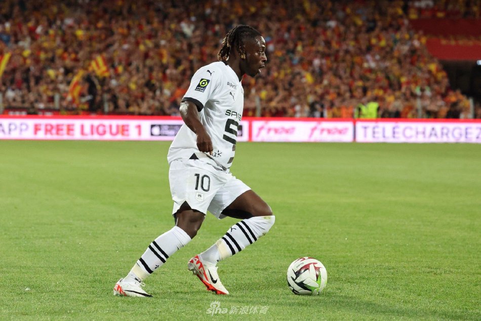 本乃至整个 本乃至整个